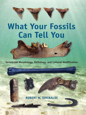 cover image of What Your Fossils Can Tell You